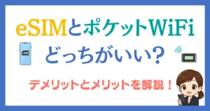 esim ポケットwifi どっちがいい